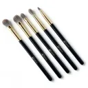 Five essential eye brushes in fan arrangement
